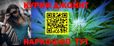 прущие грибы Можга