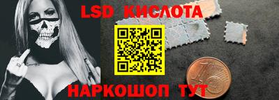 прущие грибы Можга